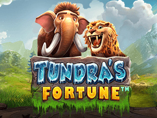 Tundra's Fortune game icon